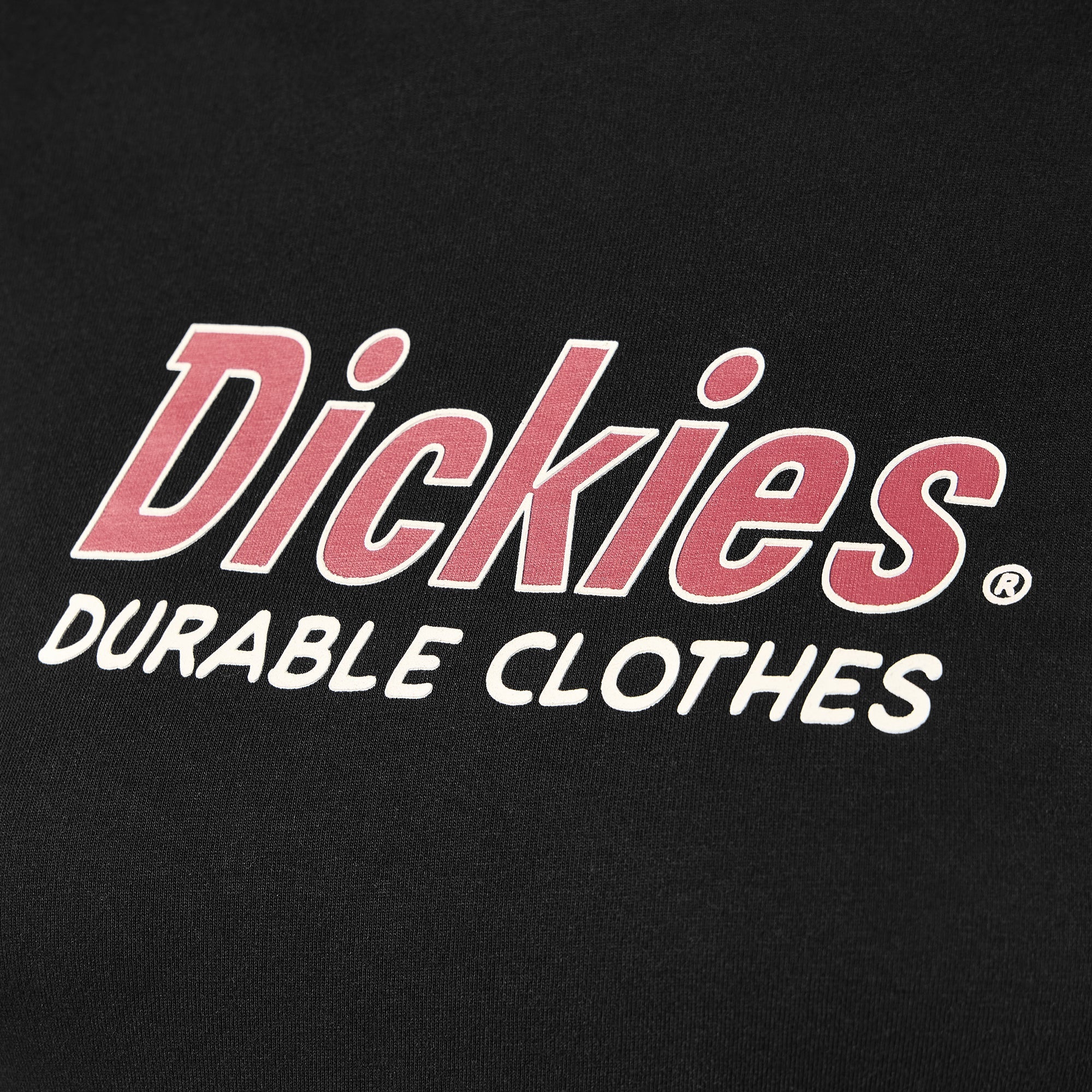 Women - Dickies Women’s Williston T-shirt