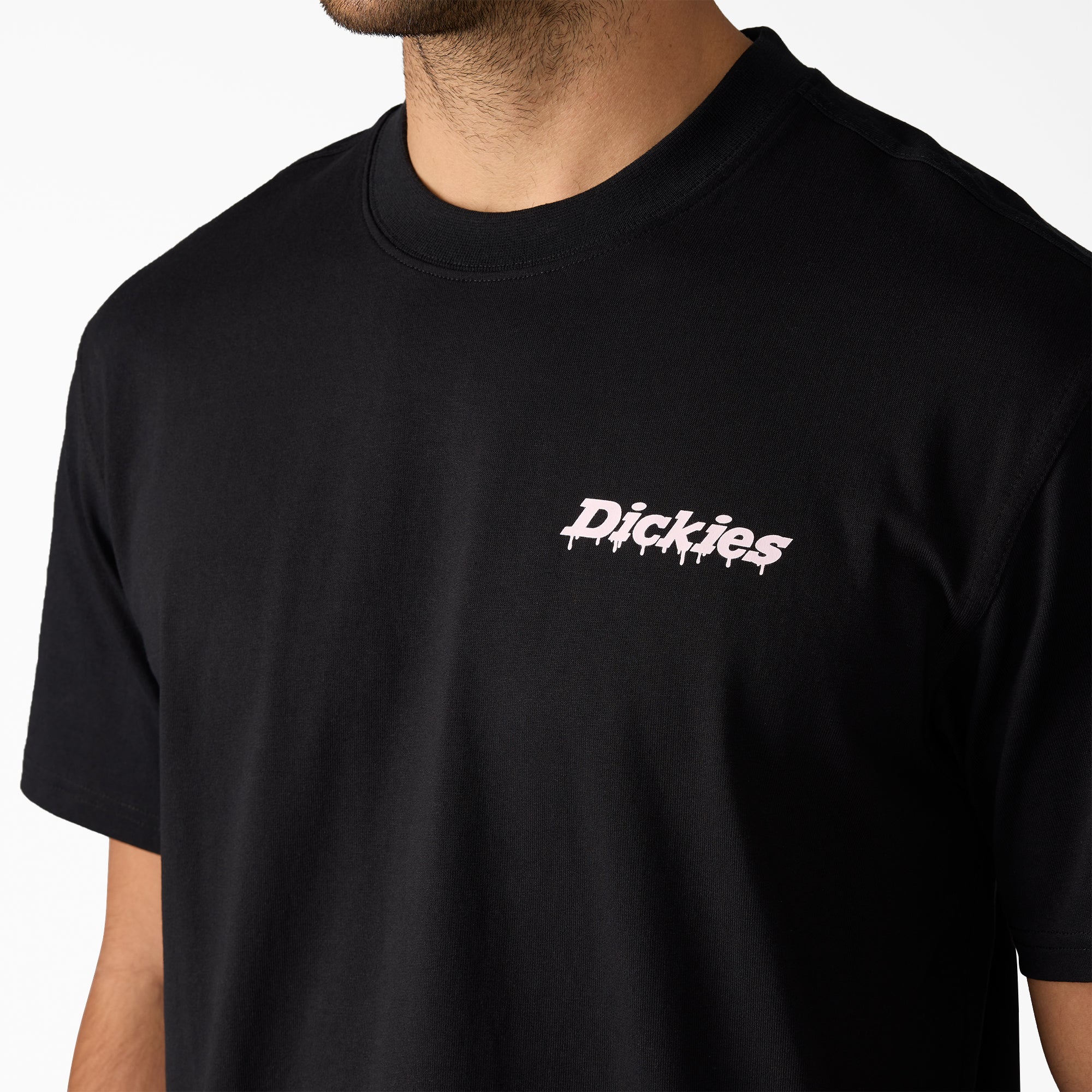 Men - Dickies Statesville Graphic T-Shirt