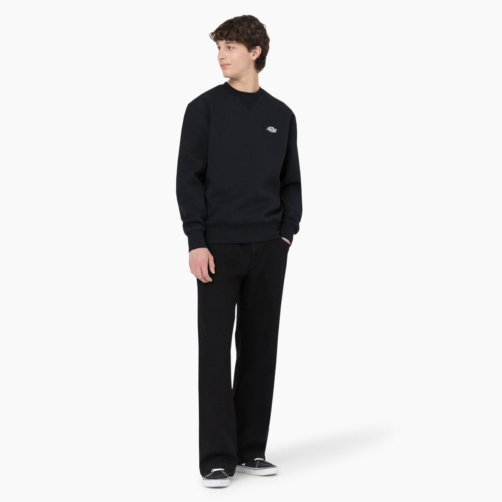 Men - Dickies Dickies Skateboarding Wingville Loose Fit Jeans