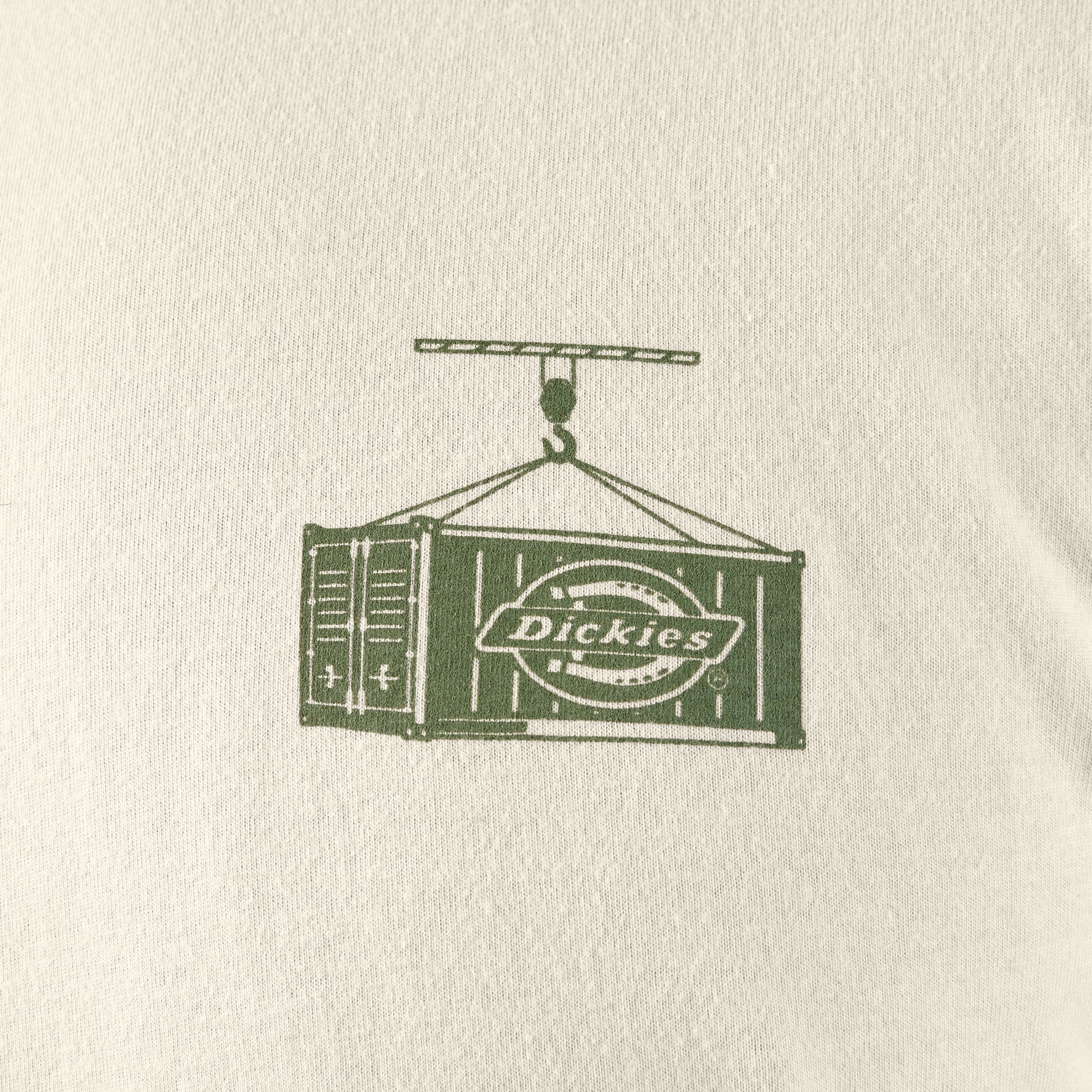 Sale - Dickies Apison Graphic T-Shirt