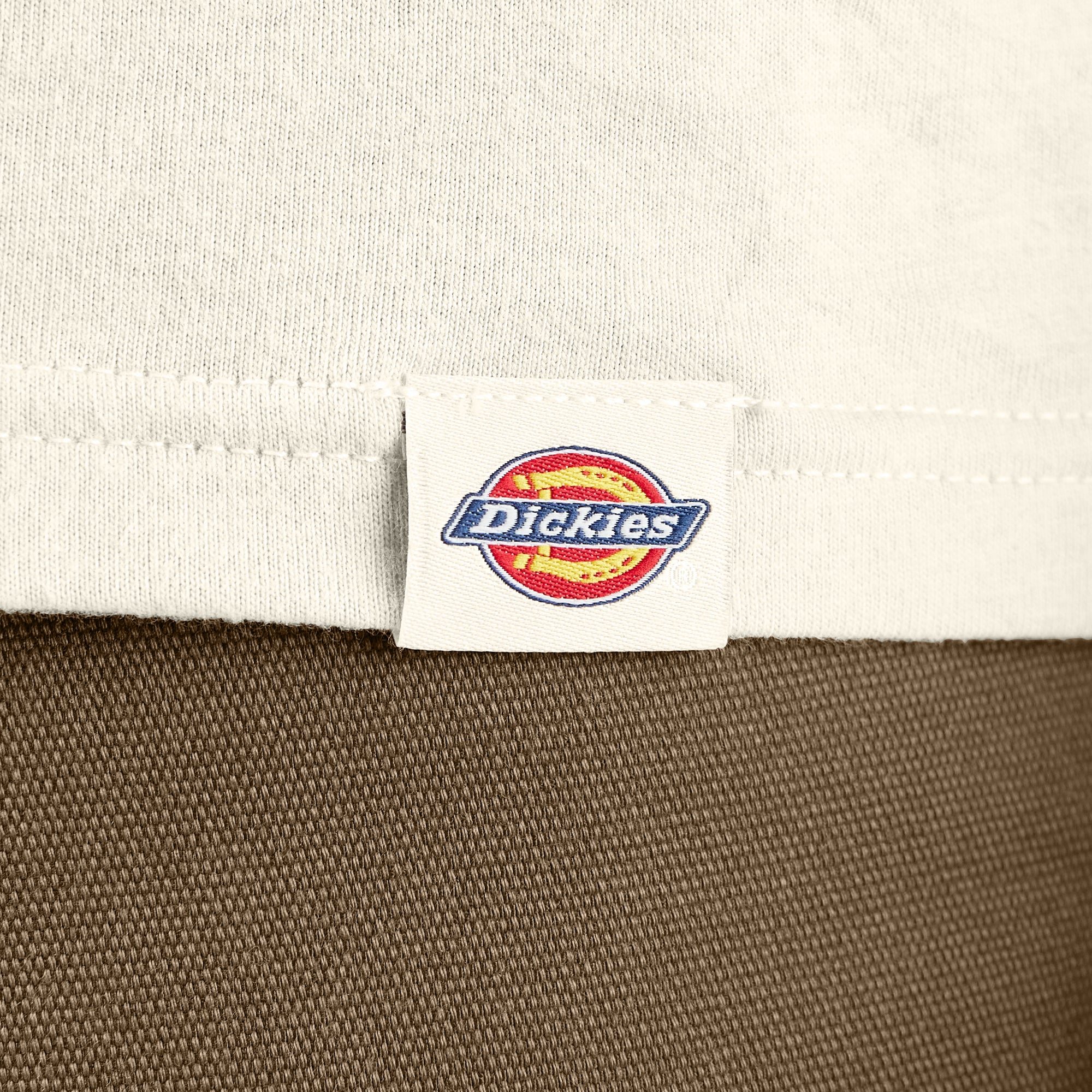 Sale - Dickies Apison Graphic T-Shirt