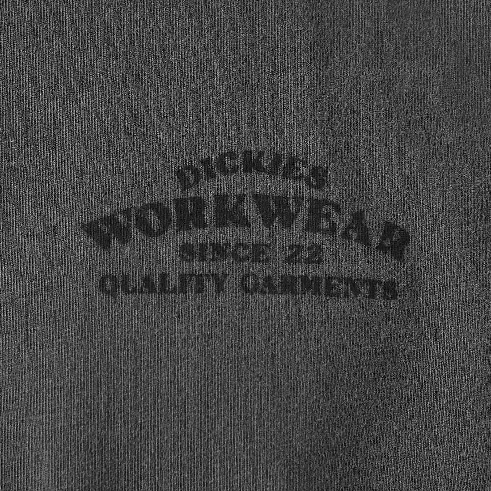 Men - Dickies Christiana T-shirt